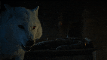 200.gif?cid=fc005b08090cbbaac8374ff6a0a28295e621bdcd5b7dd753&rid=200.gif&ct=g