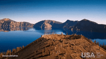 america wild oregon GIF by Visit The USA