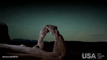 america wild GIF by Visit The USA