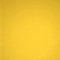 party mexico GIF by Bate