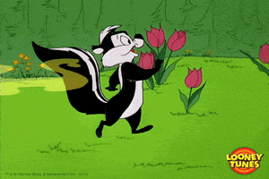 Happy Pepe Le Pew GIF by Looney Tunes - Find & Share on GIPHY