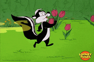 Pepe Le Pew GIFs - Find & Share on GIPHY