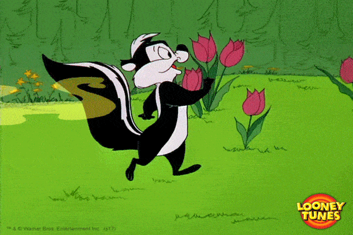 Pepe Le Pew Gifs Get The Best Gif On Giphy