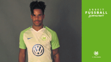 daniel didavi bundesliga GIF by VfL Wolfsburg