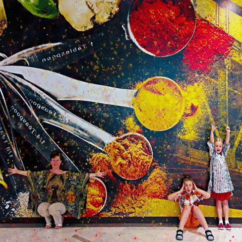 olekondra fun kids family spices GIF