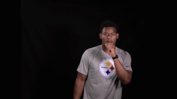 Pittsburgh Steelers Touchdown GIF by NFL