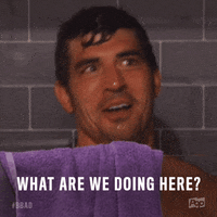 what are we doing here big brother GIF by Big Brother After Dark