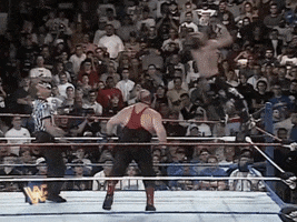 WWE GIF