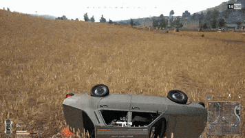 Kikis  GIF