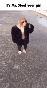 200w.gif?cid=82a1493b365xkyfj8c37dt3nkvieb17ik3flbrhc0d4ixq1q&rid=200w.gif