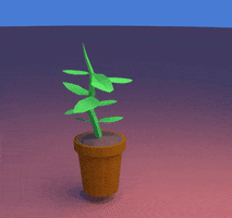 3d pot GIF by nullbody