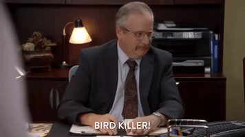 200.gif?cid=fc005b08aa0ca2df6a1ddd67f88cfee244d4fd0939d49825&rid=200.gif&ct=g
