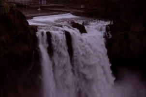 Season 2 Episode 20 GIF by Twin Peaks on Showtime