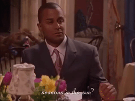 Season 2 Netflix GIF by Gilmore Girls 