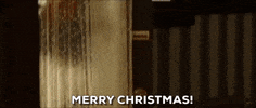 Merry Christmas GIF by filmeditor