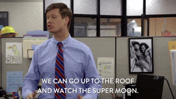 Comedy Central Anders Holmvik GIF by Workaholics
