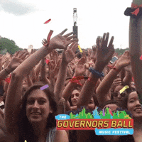 Side To Side Festival GIF by GOV BALL NYC