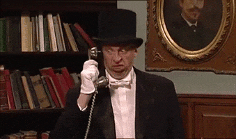 baasjesteeltje samson gert GIF