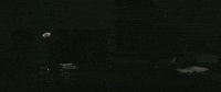 Visual Binary Code Gifs Get The Best Gif On Giphy Visual Binary Code Gifs Get The Best Gif On Giphy