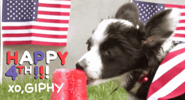 Independence Day Ruby GIF by GIPHY Studios Originals
