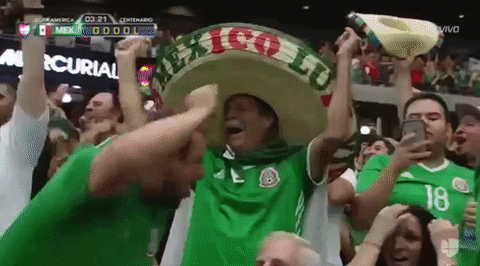 Image result for smiling mexican wearing sombrero gif