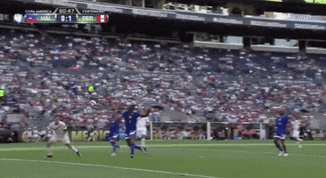 Copa America Centenario Goal GIF by Tomi Ferraro, Sportz