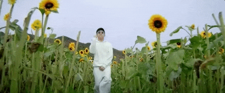 Glow Like Dat Flower Field Gif By Rich Brian Find Share On Giphy