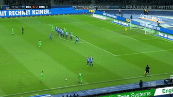 goal tor GIF by Borussia Mönchengladbach