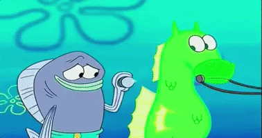 200.gif?cid=fc005b08533319c9eedce9f5e91e1ede49c61a10e8cd75d9&rid=200.gif&ct=g