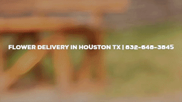 Flower Delivery In Houston Tx GIF