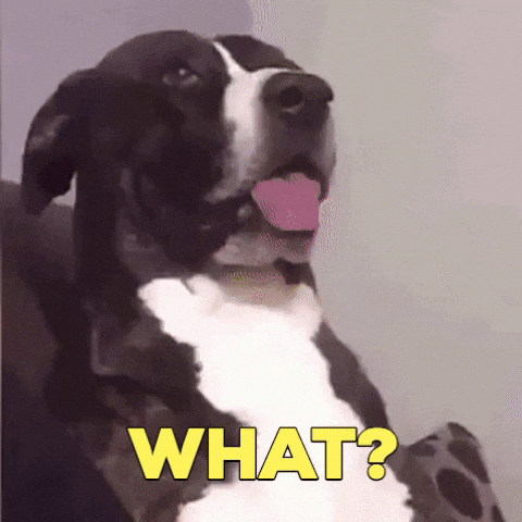 giphy.gif?cid=790b76115cff8ca12e34643432