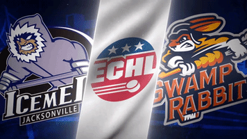 icemen GIF by Greenville Swamp Rabbits