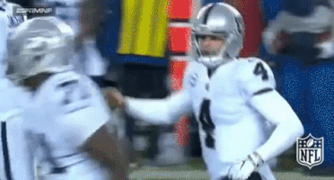 oakland raiders football GIF by NFL
