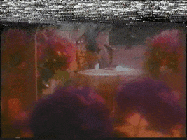 The Madwoman Of Chaillot Glitch GIF by Please Rewind
