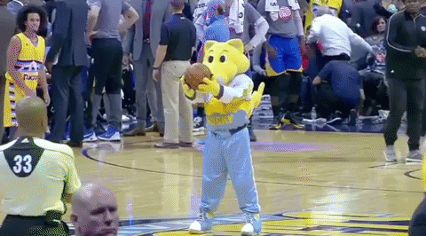 Denver Nuggets Basketball GIF by NBA - Find & Share on GIPHY