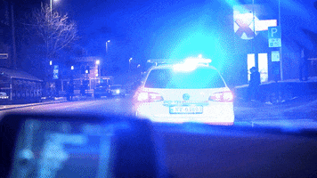 police nightcrawler GIF by NRK P3