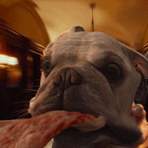 dog spinning GIF by 20th Century Fox Home Entertainment