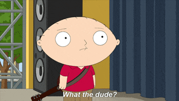 what the dude GIF by Family Guy
