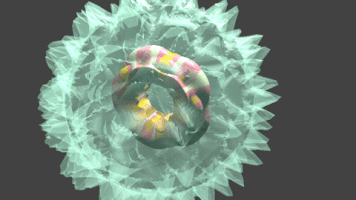 GIF by svensjorokanich