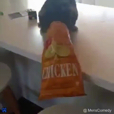 menscomedy when i'm drunk and find food GIF