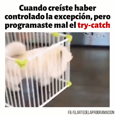 eduwalker  GIF