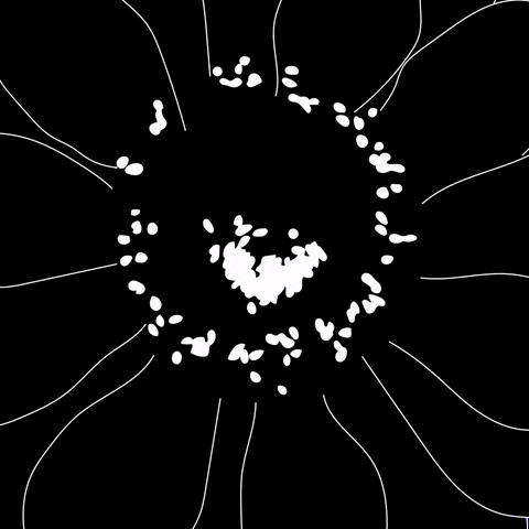 giphy.gif#39