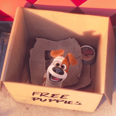 Puppy Adopt GIF by The Secret Life Of Pets