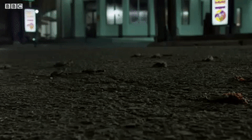 Psythor  GIF