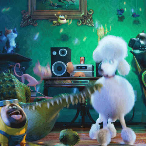 Dance Party GIF by The Secret Life Of Pets