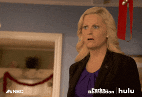 shocked parks and recreation GIF by HULU