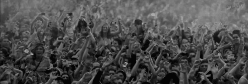 stevenlachance  GIF
