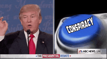 Donald Trump Conspiracy GIF by Election 2016