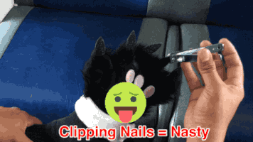 SMCTD etiquette caltrain caltrainmanners GIF