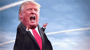 pokemonmemes pikachu charizard GIF